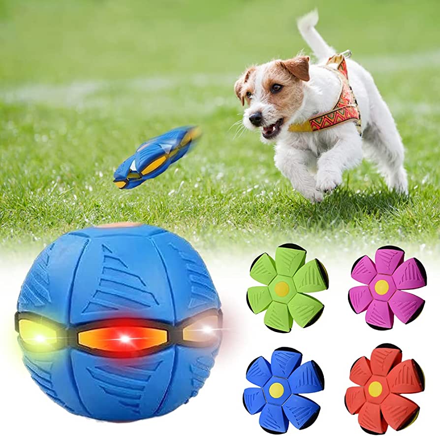 Nuvewave Dog Frisbee