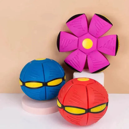 Nuvewave Dog Frisbee