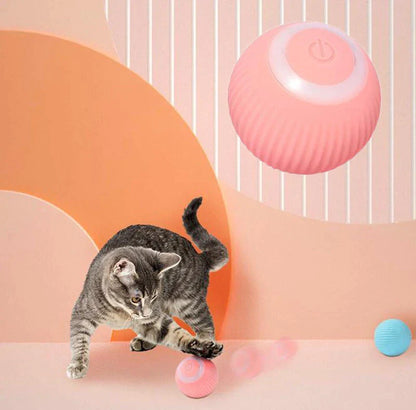 Nuvewave Interactive Ball