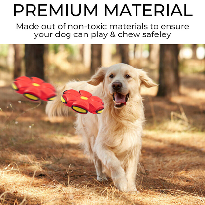 Nuvewave Dog Frisbee