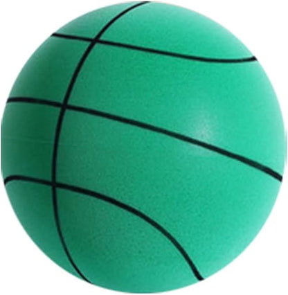 Nuvewave Silent Basketball